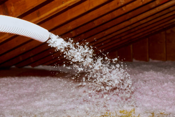 Reliable Maple Lake, MN Insulation Contractor Solutions