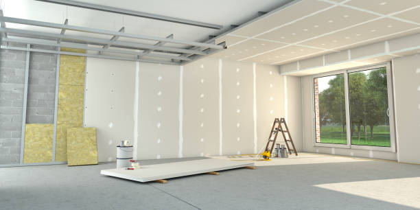 Best Attic Insulation Installation  in Maple Lake, MN
